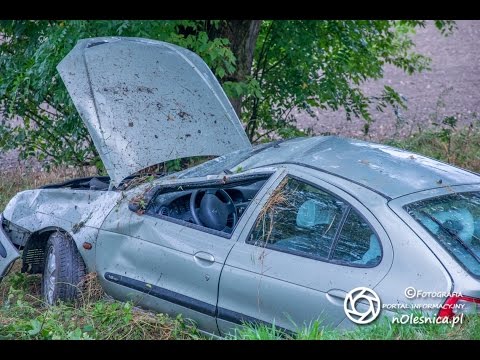 Dachowanie koło Świerznej