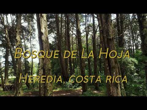 Bosque de la Hoja, Heredia, Costa Rica - Phantom 4 Pro