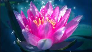 📻Radio Chữa Lành