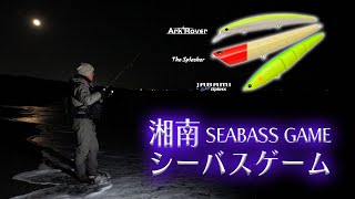 Surfstar / サーフスター |PALMS | 株式会社パームス Surfstar / サーフスター |PALMS | 株式会社パームス