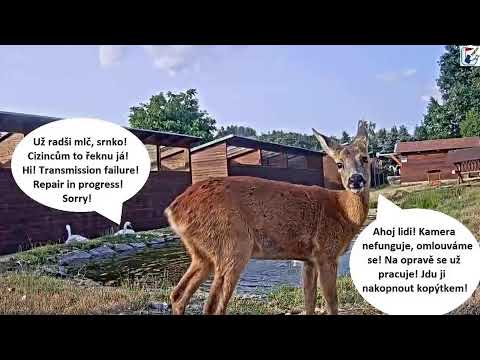 Rescue Station in Makov live webcam