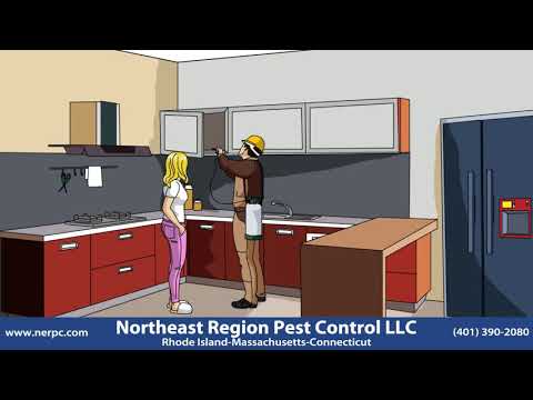 NE Region Pest Control LLC - Scituate, RI 02857 - (401)390-2080 | ShowMeLocal.com
