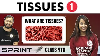 Tissues 01  What are Tissues?  Class 9  NCERT  Spr