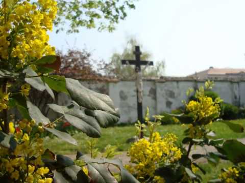 Kongres bogoslova 2014. - Bogoslovno sjemenište Đakovo