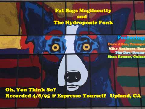 Fretless Stomp by Fat Bags Magilacutty and The Hydroponic Funk