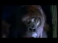 Mighty Joe Young Short Trailer