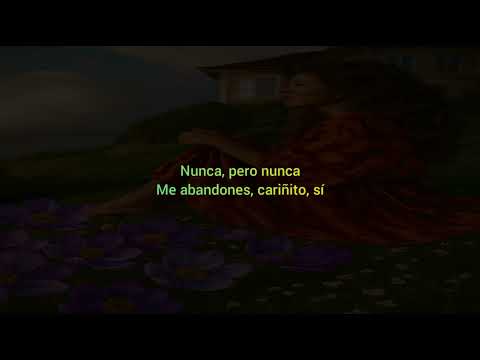 Lila Downs Ft Panteón Rococó Cariñito-Letra