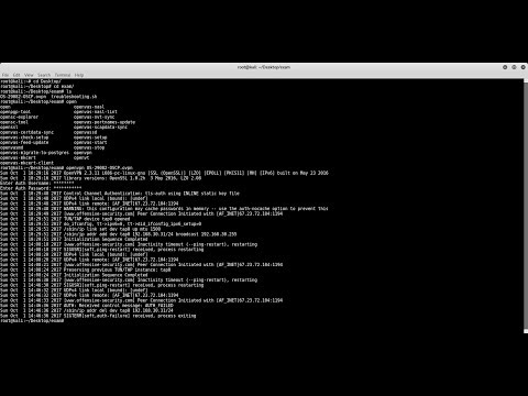 OSCP 24 Hour Exam Time Lapse in 30 Seconds