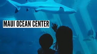 MAUI OCEAN CENTER: A PREVIEW OF YOUR NEXT ADVENTURE | Aquarium of Hawaii | Maui Day 4