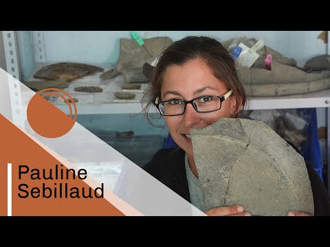 Pauline Sebillaud | CNRS