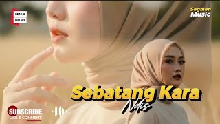 Download lagu Sebatang Kara || Ndis || Ndis  || Music Cecep || Visual Illustration || conten Creator mp3