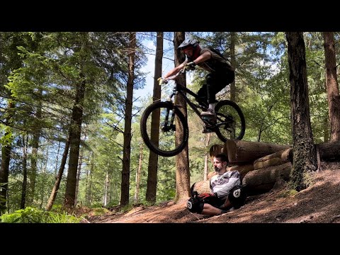 Puddletown Forest mountain bike - some of the best bits