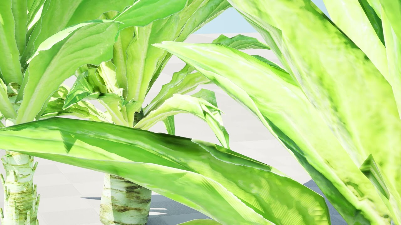 North American Celtuce Plant Collection 3D Model