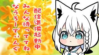 白上フブキ - 【FINAL FANTASY XIV】至天の座アルカディア踏破耐久予定地　※ネタバレあり※ 【ホロライブ/白上フブキ】