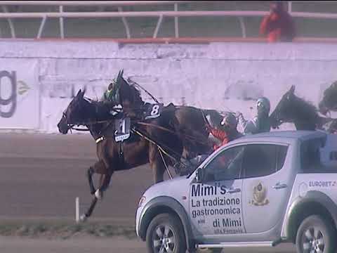 Trotto 24/02/2019 - 4ª corsa