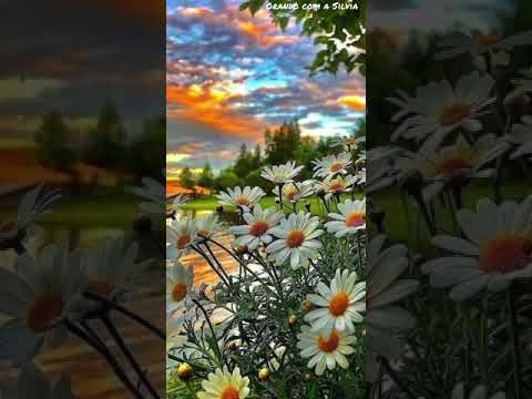 Em nome da Santíssima Trindade!