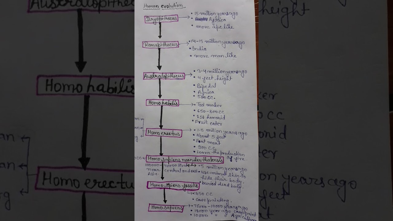 # shorts/#Human evolution notes for NEET and other exams.