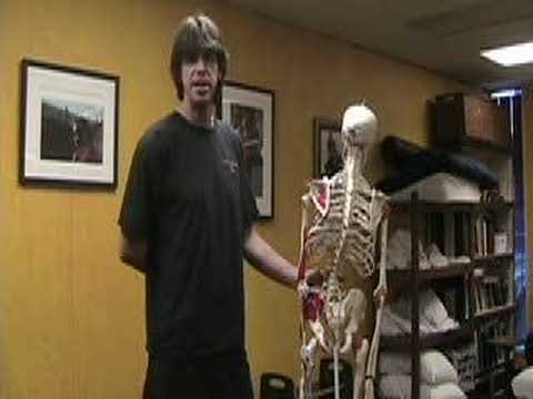 Rolfing® Functional Movement Intro