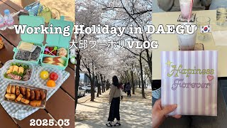대구워홀VLOG / 수성못 피크닉🌸 / 서문야시장🌃 / BBQ🍴 / 대구카페🍓