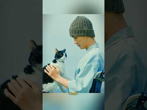 الصداقة الحقيقية بين أजय والقطة لاكي #shorts