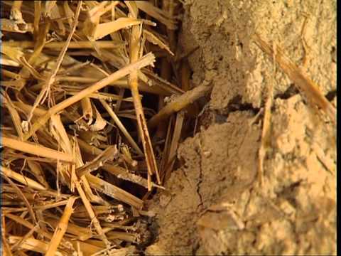 comment economiser l'energie d'une maison