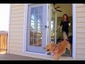 Brookstone Homes The Lee Model