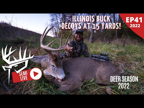 ILLINOIS Buck DECOYS At 15 YARDS | TEXTBOOK Rut Hunt!