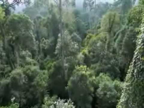 Surah 76 Al Insan, Salmaan Al Utaybi (CC)