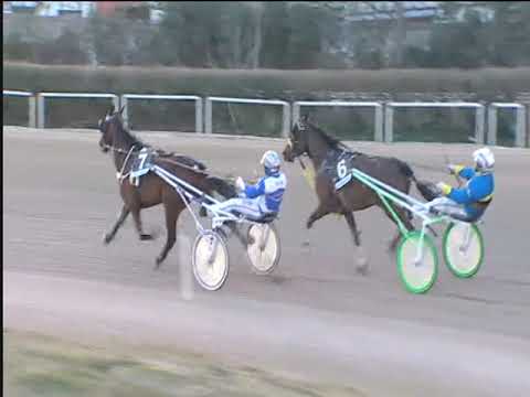 Trotto 01/03/2019 - 4ª corsa