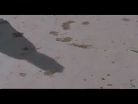 Sparsha karanna ma...