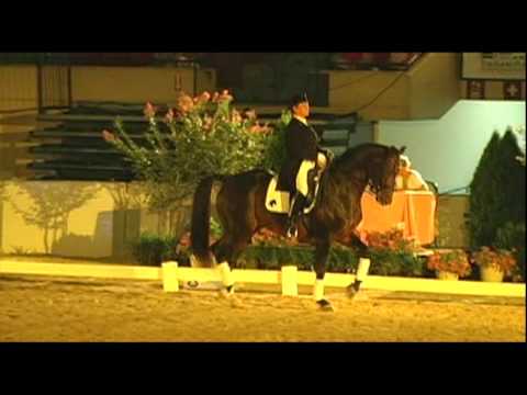 Dressage Stallion, Florianus II, Grand Prix Freestyle