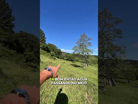 SÃO FRANCISCO DE PAULA - 2.5HA - Entre em contato: 51 999774779