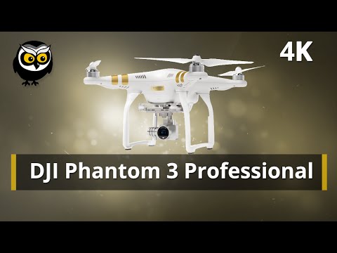 רחפן Dji Phantom 3 Professional תמונה 4