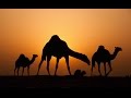 Крипипаста "Бойся песков", Том Сойер, страшная история об ужасе пустыни ...