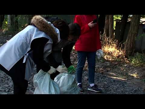 Более 12 тонн мусора вывезли с общегородского субботника в Курске