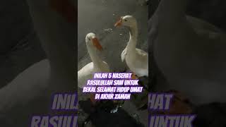 Download lagu inilah lima nasehat rasulullah saw untuk bekal selamat di akhir zaman#sholawat#sholawatnabi mp3