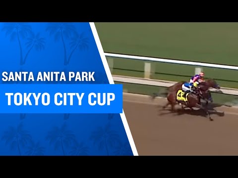 2025 $85,000 Tokyo City Cup at Santa Anita Park
