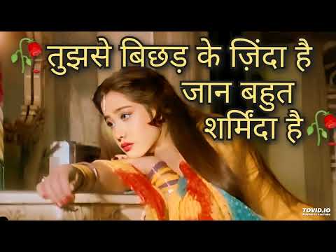 || tujhse bichhad kar jinda hai jaan bahut sharminda hai | Beena, Kiran Kumar | Anuradha Paudwal ||