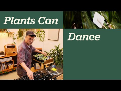 Plants Can Dance with Brian d'Souza