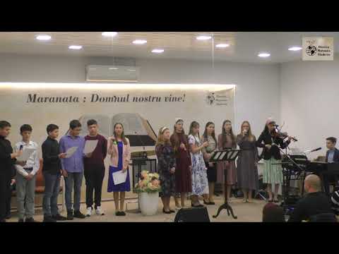 Adolescenții - Rătăceam străin prin lume