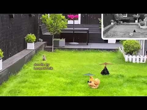 💃 LADIES 💃 #leopartnik