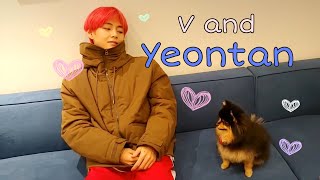 V and his dog Yeontan acting cute together video