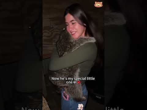 I said NO to the 'Trash Panda'... and then I lost the battle🦝❤️#rescue #raccoon #lovestory #cute