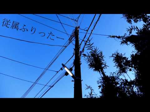 【初音ミク】「從屬fritter」【原創】