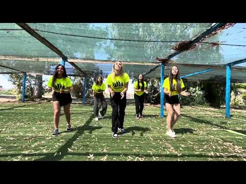 Balli di gruppo - La mujer del pelotero The Village