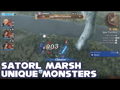 All Satorl Marsh Unique Monsters & Locations - Xenoblade Chronicles Definitive Edition