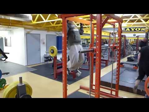 Selkäsätkimistä | 24.11.2015