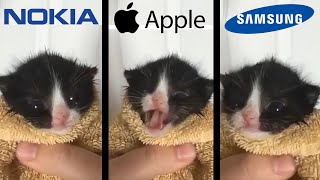 Download lagu Kitten Meows but famous phone ringtones mp3 Download lagu Kitten Meows but famous phone ringtones mp3