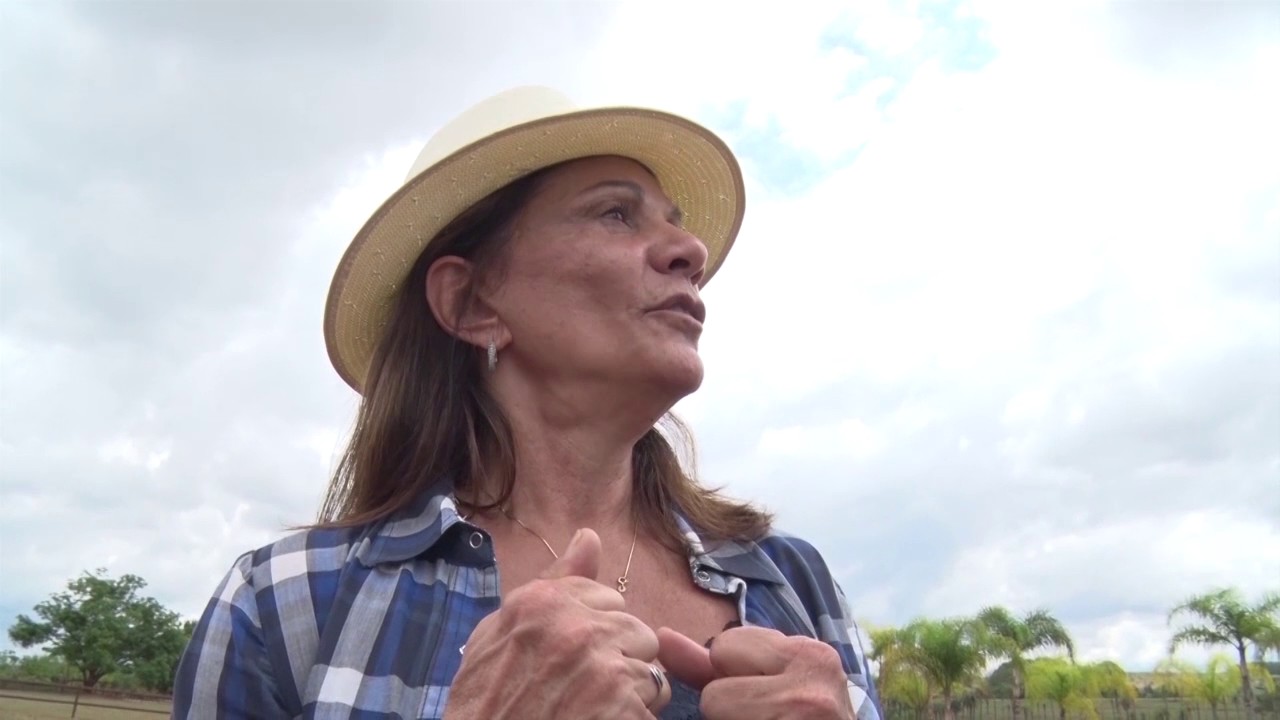 Pelagens da Raça Mangalarga Marchador