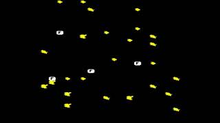 Storm for the BBC Micro